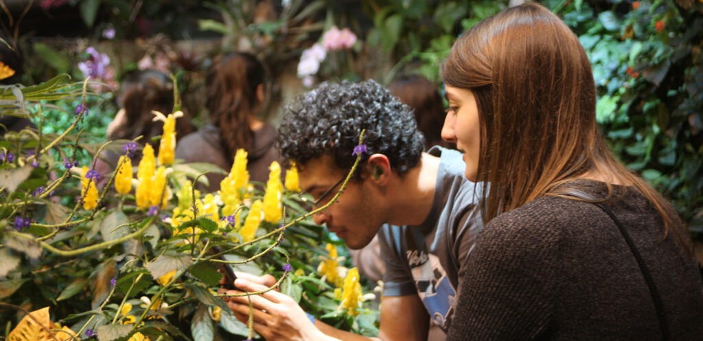 College kids in butterfly garden